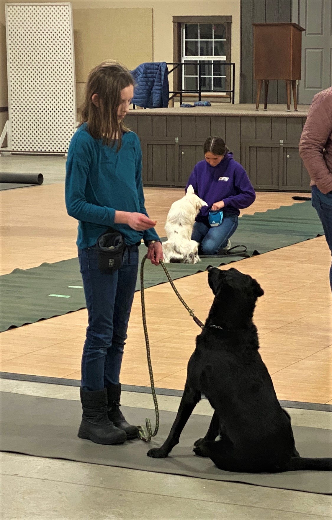 Youth participant works on obedience training with a black dog during a dog project class.